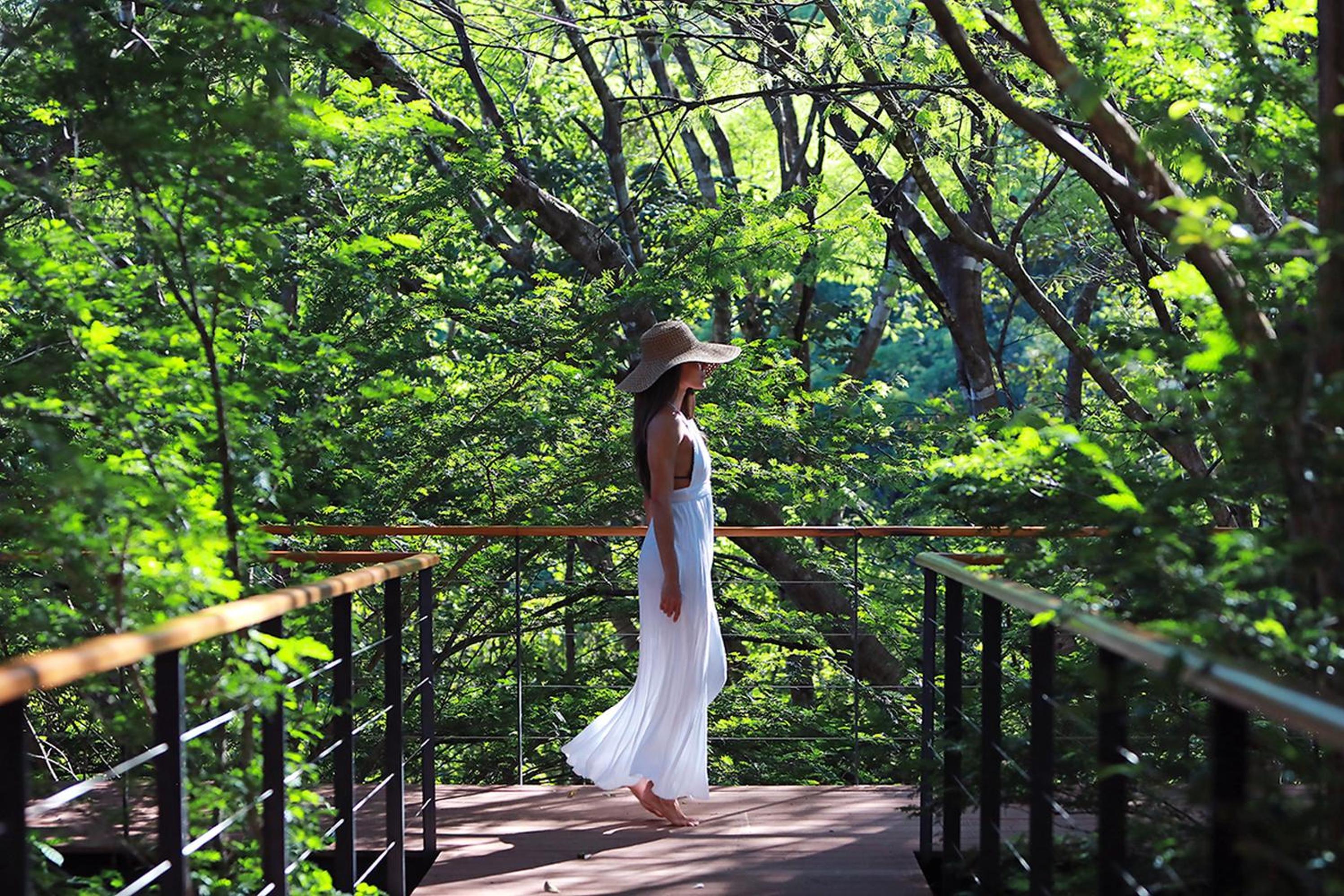Rio Perdido Hotel & Thermal River